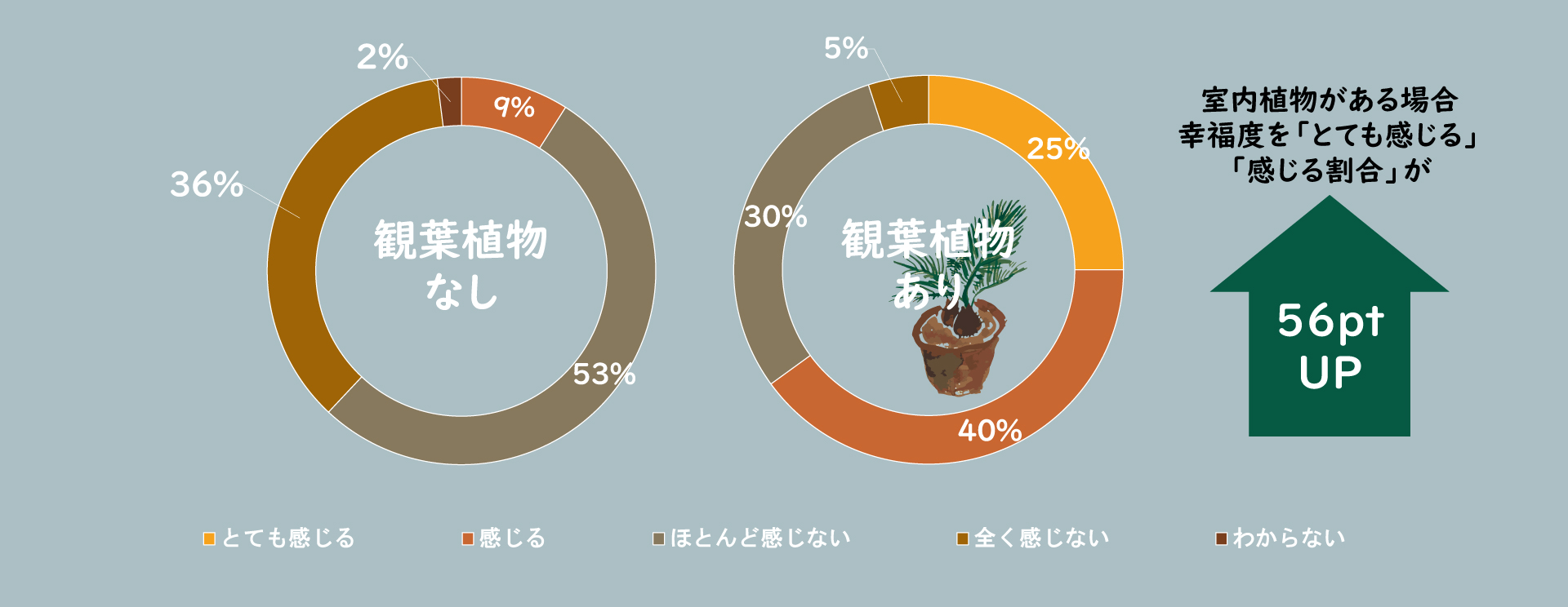 室内植物と幸福度の関係